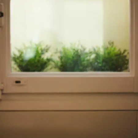 My Way Away * سرقسطة