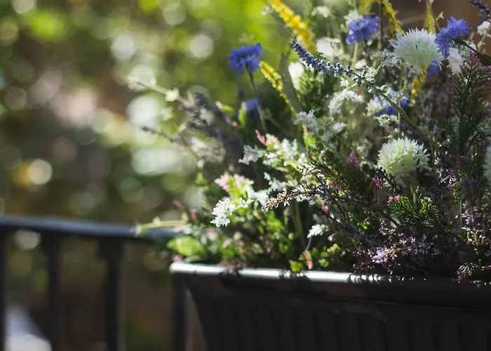 My Way Away Апартаменты